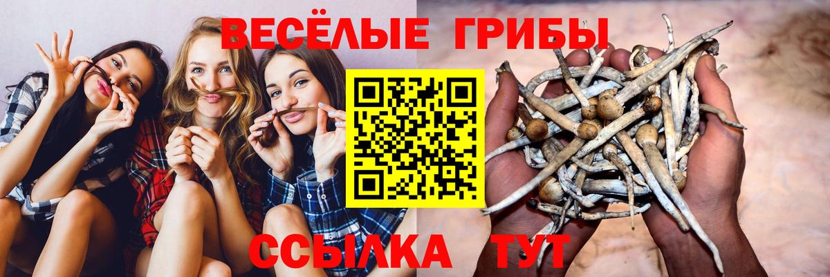 Воткинск  Псилоцибиновые грибы MAGIC MUSHROOMS  Вход с VPN 
