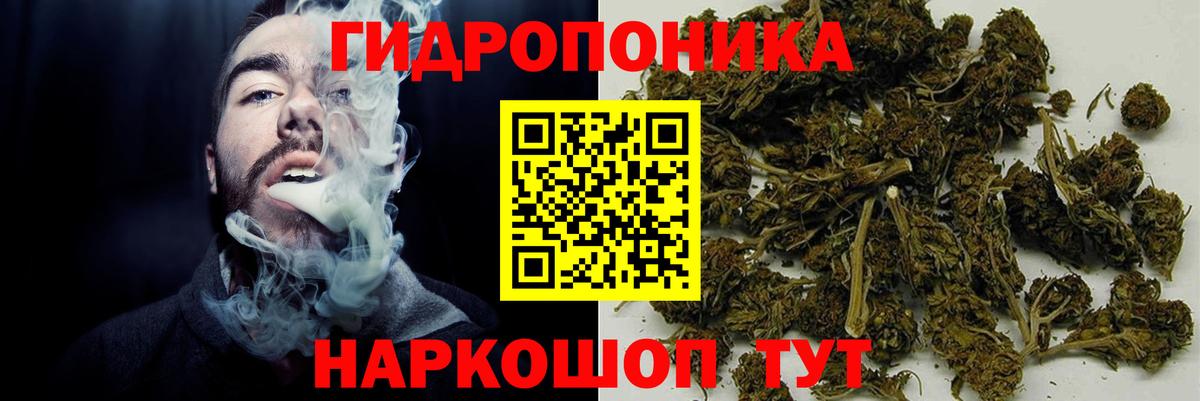 Бошки Шишки гибрид Воткинск